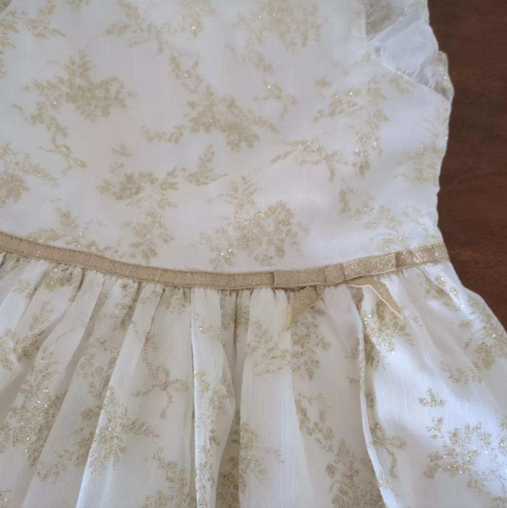 Janie and Jack Girl's Cream Color Shimmer Floral Chiffon Dress girls size 7 NNT - Picture 4 of 8